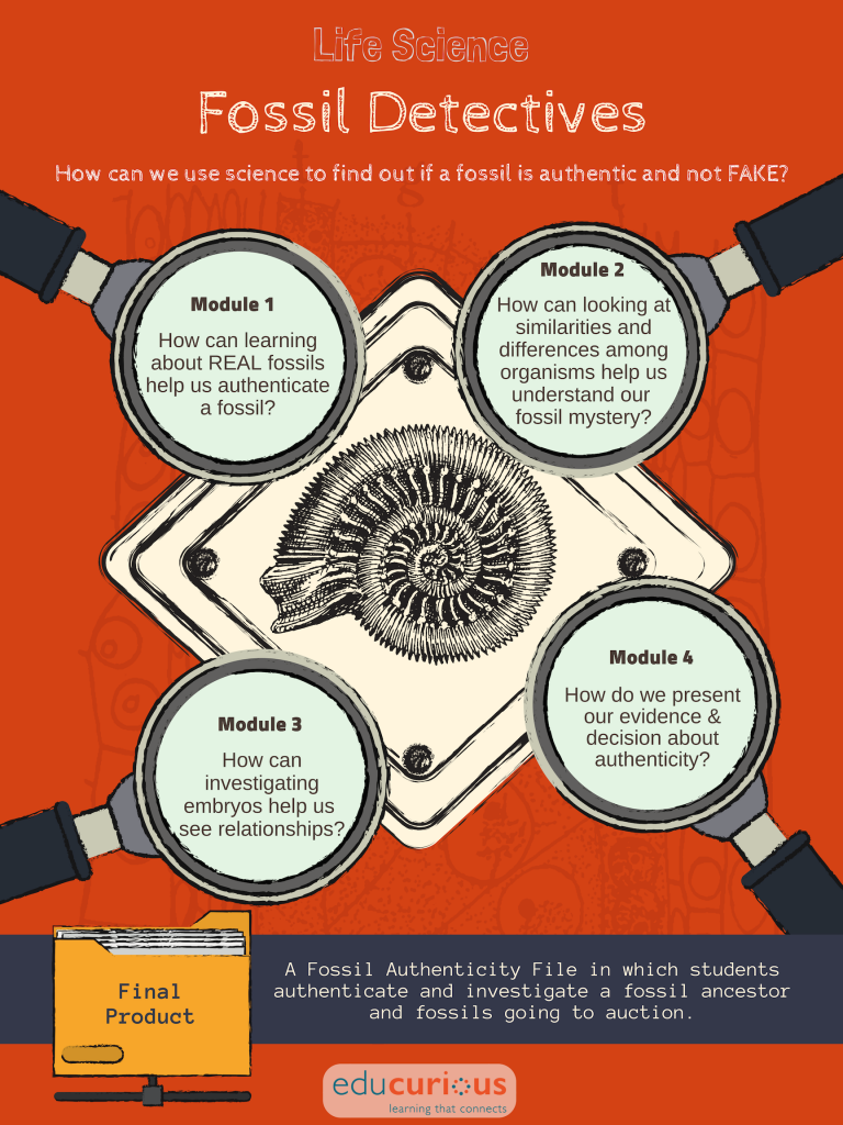Fossil Detectives - Educurious